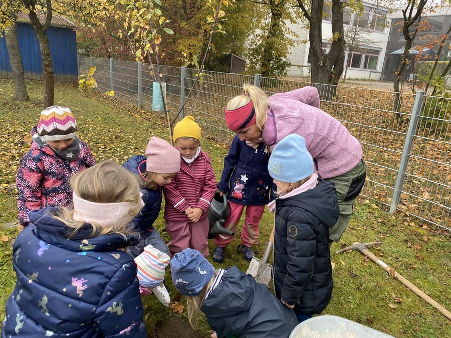 Kita Kinder pflanzen einen Apfelbaum
