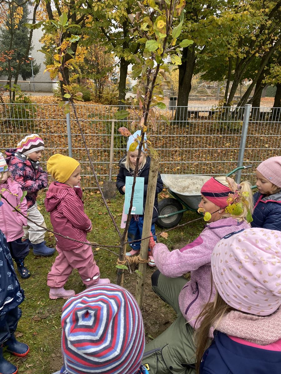 Kita Kinder pflanzen einen Apfelbaum