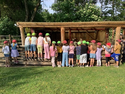 Haus für Kinder Wartenberg, Kinder bestaunen die Alpakas