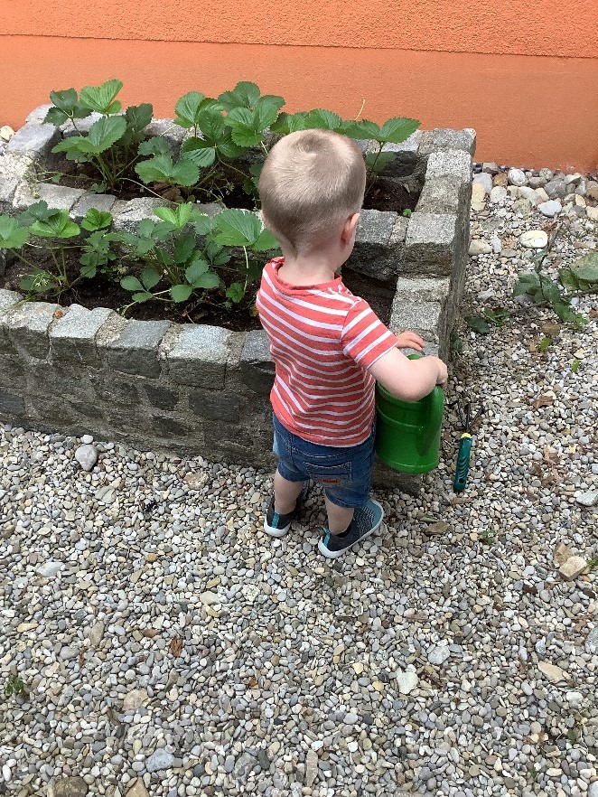 Haus für Kinder Wartenberg, kleiner Junge begießt Erdbeerpflanzen